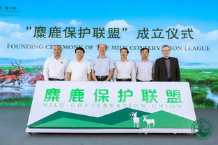 第二届北京 国际 麋鹿文化大会在麋鹿苑顺利召开